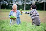 Elderly woman with grey hair and woman wearing checkered shirt standing in a garden, picking fresh vegetables.