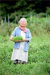 Elderly woman with grey hair standing in a garden, holding basket with fresh vegetables, smiling at camera.