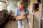 Elderly woman with grey hair standing in a chicken house, holding basket, collecting fresh eggs.