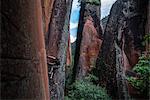 Rock climbers climbing sandstone rock, Liming, Yunnan Province, China