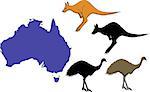 Australia cartoon travel map vector illustration on white background. Traditional symbols of nature and culture of Australia - kangaroo and ostrich