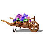 Wooden trolley for transportation of flowers. Flower business.