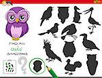 Cartoon Illustration of Finding All Owls Shadows Educational Activity for Children