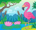 Flamingo topic image 4 - eps10 vector illustration.