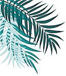 Beautifil Palm Tree Leaf  Silhouette Background Vector Illustration EPS10