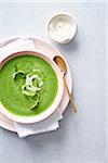 Aspsargus soup with gold colored spoon and a side dish of creme fraiche on a blue striped background