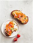 Avocado toast with smoked salmon, dill and radish on a grey background