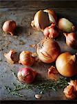 Onions, eschalots, thyme
