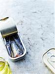 Can of sardines