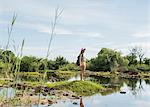 Young female tourist looking out over calm waters near Victoria Falls, Zimbabwe, Africa