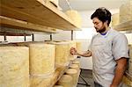 Cheese maker inspecting stilton cheese wheel by using a corer to check blue mould forming inside