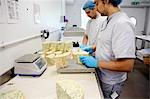 Cheese makers cutting blocks of blue stilton to package and send off to wholesalers