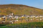 View of Merl district, Moselle Valley, Zell an der Mosel, Rhineland-Palatinate, Germany, Europe
