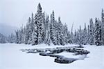 Snow-covered winter forest with frozen lake, Emerald Lake, Yoho National Park, UNESCO World Heritage Site, British Columbia, The Rockies, Canada, North America