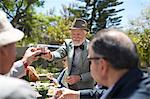 Senior man in suit and bow tie toasting friends with wine at sunny garden party