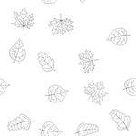abstract vector doodle autumn leaves seamless pattern - coloring book