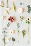 Still life of pastel coloured leaves, flower heads and flower stems, overhead view