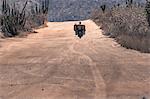 Man riding motorcycle, Cabo San Lucas, Baja California Sur, Mexico