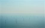 The OWEZ windfarm seen in backlight, IJmuiden, Noord-Holland, Netherlands