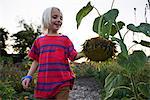 Blond haired boy in garden looking at drooping sunflower seedhead