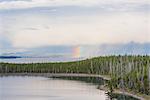Lake and forest landscape with rainbow on horizon, Yellowstone National Park, Wyoming, USA
