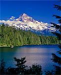 LOST LAKE AND MT. HOOD OREGON USA