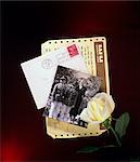 1940s 1950s YELLOW ROSE WITH OLD PHOTOGRAPH ENVELOPE AND TELEGRAM