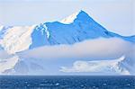 Whale blow (spout) and icy mountains, low lying mist, evening sun, Bransfield Strait, off South Shetland Islands, Antarctica, Polar Regions