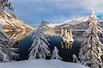 Snow covered trees on the shore of frozen Lake Sils, Plaun da Lej, Maloja Region, Canton of Graubunden, Engadine, Switzerland, Europe