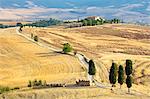 Cypress trees and fields in the afternoon sun at Agriturismo Terrapille (Gladiator Villa) near Pienza in Tuscany, Italy, Europe