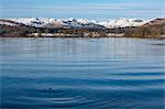 Looking towards the north end of Windermere near Ambleside, with rugged snow covered mountains including Helvellyn, Lake District National Park, UNESCO World Heritage Site, Cumbria, England, United Kingdom, Europe