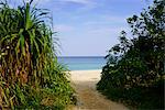 Beach in Ishigaki Island, Okinawa Prefecture, Japan