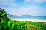 Beach in Ishigaki Island, Okinawa Prefecture, Japan
