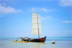 Boat with White Sail
