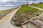 Thrift (Armeria maritima), 1914 Battle of the Falklands Memorial, Stanley waterfront, Port Stanley, Falkland Islands, South America