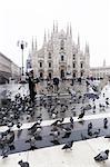 A person feeds pigeons in Piazza Duomo (Cathedral Square), Milan, Lombardy, Northern Italy, Italy, Europe