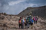 A group of trekkers with their local guide descending in Barranco Camp on the Machame Route on Mount Kilimanjaro, Tanzania, East Africa, Africa