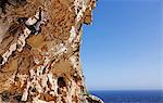 Rock climber in action on the cliffs of Malta, Mediterranean, Europe