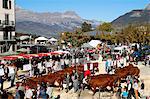 The agricultural fair (Comice Agricole) of Saint-Gervais-les-Bains, Haute-Savoie, France, Europe