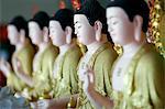 Row of Buddha statues, Hoi Tuong Te Nguoi Hoa Buddhist Chinese temple, Phu Quoc, Vietnam, Indochina, Southeast Asia, Asia