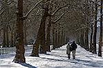 The Mall in the snow, London, England, United Kingdom, Europe