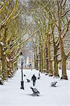 Green Park in the snow, London, England, United Kingdom, Europe