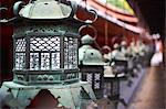 Bronze lanterns at Kasuga Grand shrine (Kasuga-taisha), UNESCO World Heritage Site, Nara Park, Nara, Honshu, Japan, Asia