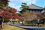 Nara Park in autumn with Todaiji Temple in the background, Nara, Japan, Asia