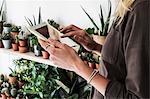 Close up of female owner of plant shop holding digital tablet, a selection of plants on wooden shelves.