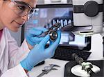 Engineer measuring manufactured component for accuracy and quality control using a dial caliper, 3D stereo microscope in background