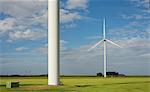 Wind turbine on farmland, Kamperland, Zeeland, Netherlands