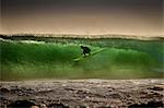 Surfer surfing on barreling wave, Crab Island, Doolin, Clare, Ireland