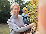 Portrait smiling, confident mature woman harvesting apples in garden