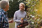 Happy mature couple harvesting apples in garden